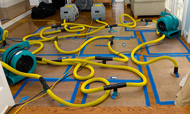 Professional Flood Damage Restoration technician working in Hyde Park, PA